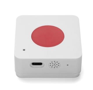 LoRaWAN Button