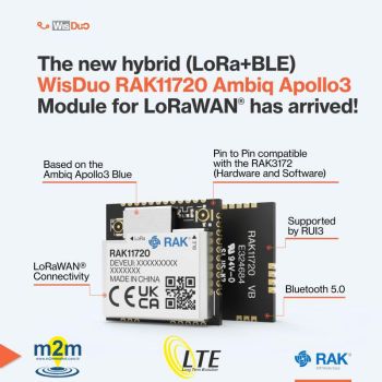 RAK11720 (305051) Ambiq Apollo3 SX1262 IPEX LoRa&BT LoRaWAN Module 