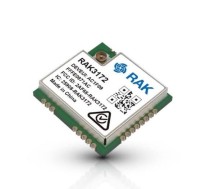 Rak Wireless - RAK3172H WisDuo LPWAN Module, 868MHz with IPEX(305045)