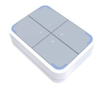 RAK WIRELESS - RAK7201 LoRaWAN WisNode Button 4K (205000)