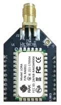 RAK WIRELESS - RAK811 Breakout Board, 433MHz with IPEX