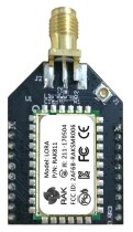 Rak Wireless - RAK811 Breakout Board, 433MHz with IPEX