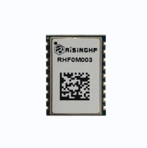RISINGHF - ROM 256KB / RAM 64KB -433 MHz Ultra-small Size LoRaWAN Module