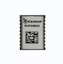 RISINGHF - ROM 256KB / RAM 64KB -433/470 MHz Ultra-small Size LoRaWAN Module