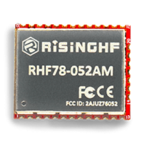 RISINGHF - ROM 64KB / RAM 8KB Ultra-small Size LoRaWAN Module