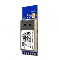 SKYLAB - RTL8811 Dual Band USB WiFi Module WG217 (09273304)